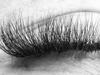 A Textured Hybrid lash set in detail, black and white